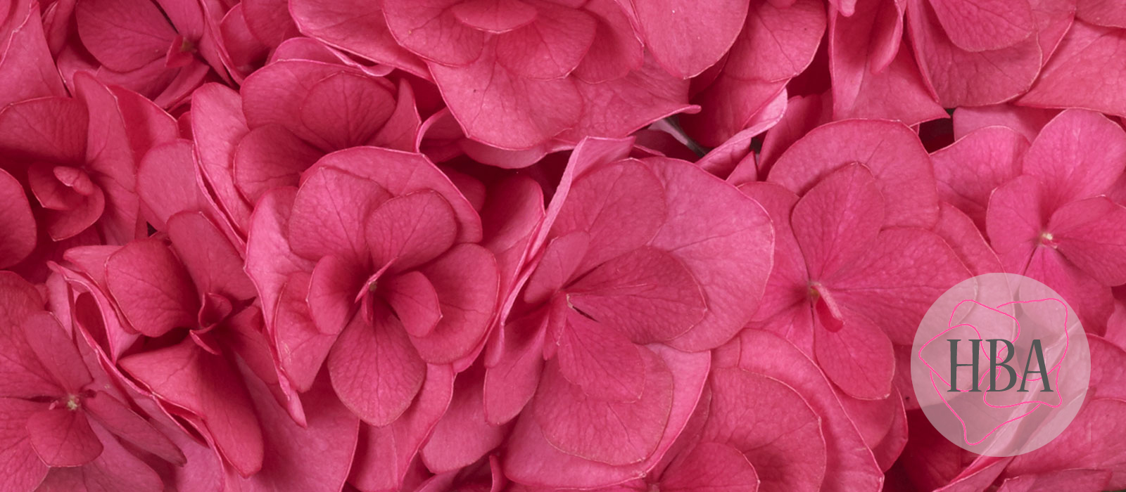 ROYAL-ANASTASIA-H218925-HBA-1