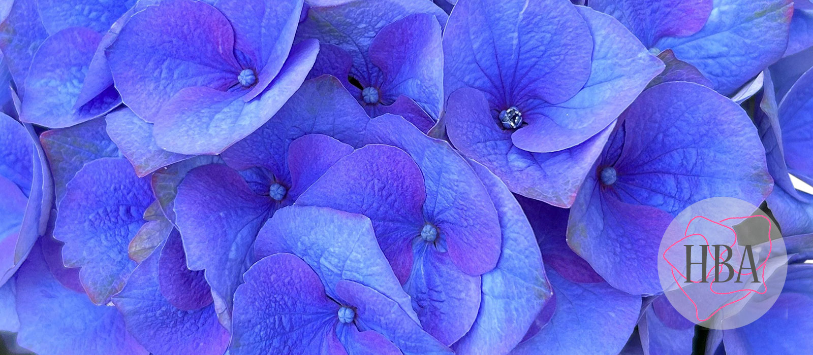 Royal-Crown-fresh-HBA-slider-1600-x700