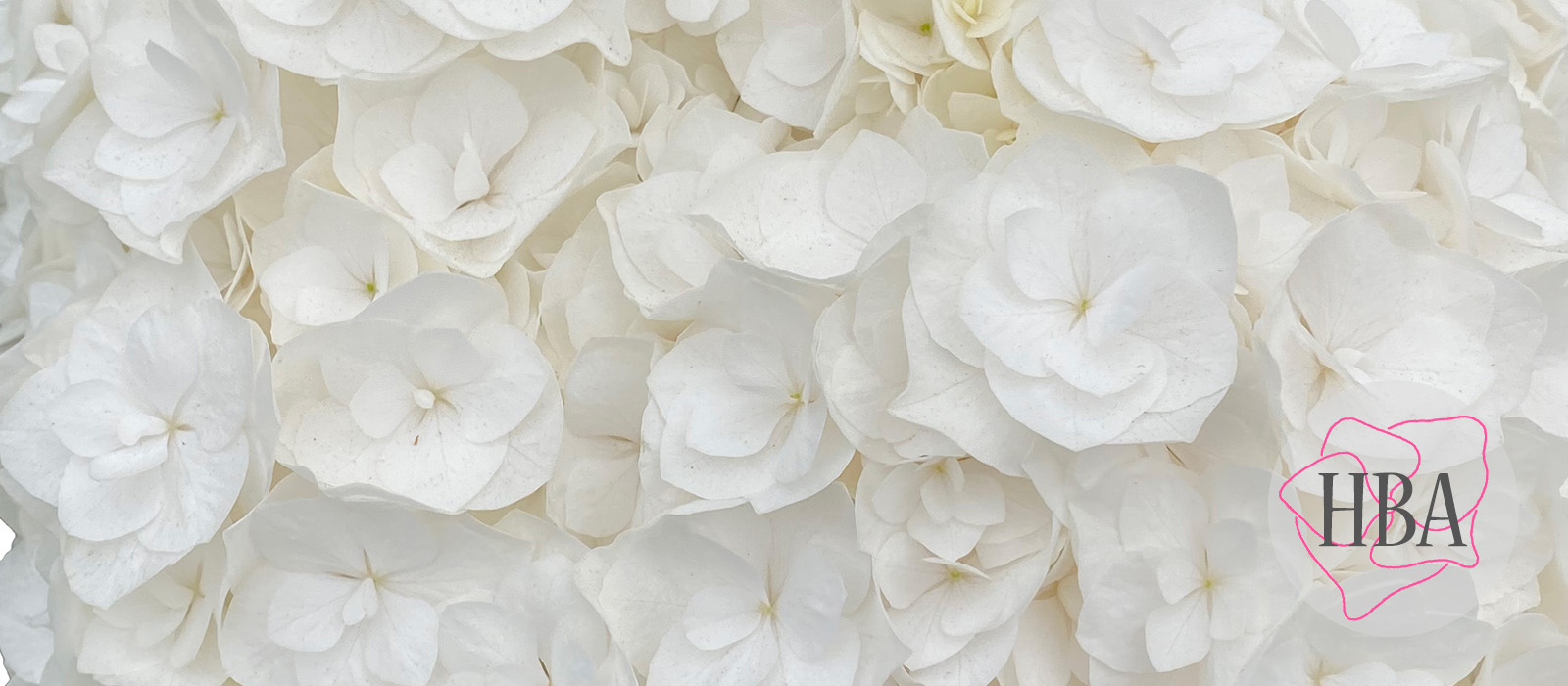 Royal-Highness-FRESH-HBA-Logo-HBA-300x300-grijs-60-procent