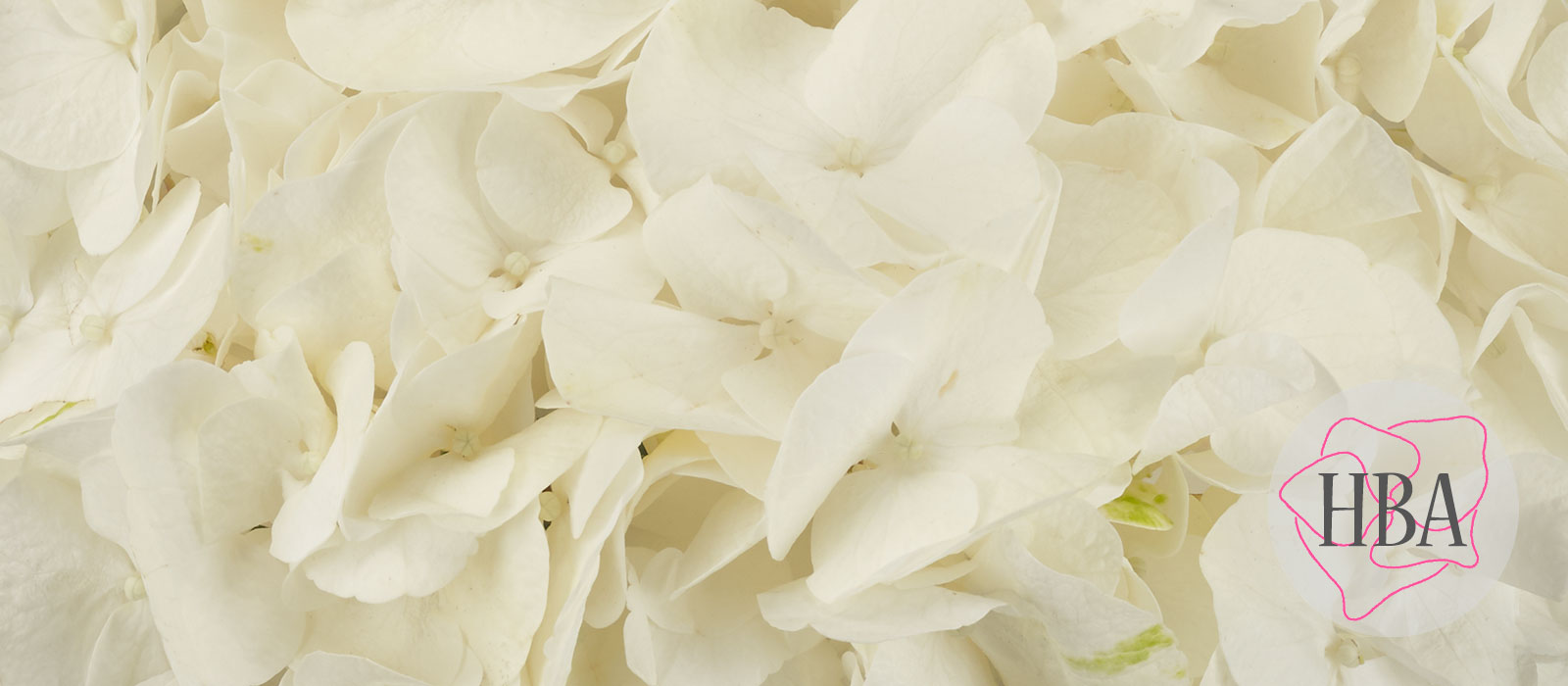 TROPICAL-BIANCA-H220901-HBA