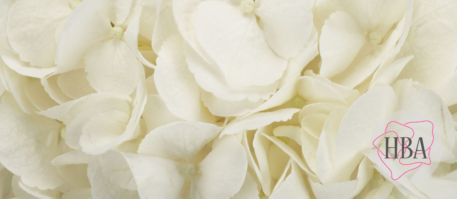 TROPICAL-ICE-AGE-H219912-HBA